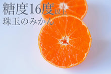 画像をギャラリービューアに読み込む, 糖度16度以上!『超萬点みかん』くだものの匠が糖度と酸度を計測し黄金比に入ったみかんを厳選した珠玉のみかん
