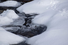 画像をギャラリービューアに読み込む, 【極太】『雪解けアスパラ』北海道の雪解け水で育った甘み抜群の極上品
