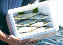 画像をギャラリービューアに読み込む, <10/16お届け迄>希少な子持ちも選べる「紀伊和歌山・鮎」天然を超える味わいを厳選産直【期間限定】