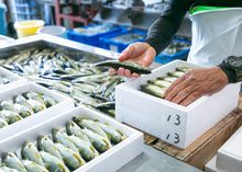 画像をギャラリービューアに読み込む, <10/16お届け迄>希少な子持ちも選べる「紀伊和歌山・鮎」天然を超える味わいを厳選産直【期間限定】