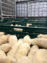 画像をギャラリービューアに読み込む, 18ヶ月熟成「雪蔵甘熟メークイン」二冬熟成が生んだ濃密な甘さのじゃがいも