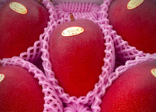 画像をギャラリービューアに読み込む, 目利きのプロから選ばれる「沖縄県産・アップルマンゴー」大玉500g超の厳選品を特別な桐箱で直送【数量限定】