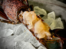 画像をギャラリービューアに読み込む, そのまま食べられる『天然活き伊勢海老のお造り』名だたる名産地の伊勢海老を姿造りに仕立てた特別な逸品