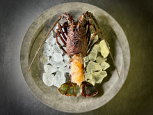 画像をギャラリービューアに読み込む, そのまま食べられる『天然活き伊勢海老のお造り』名だたる名産地の伊勢海老を姿造りに仕立てた特別な逸品