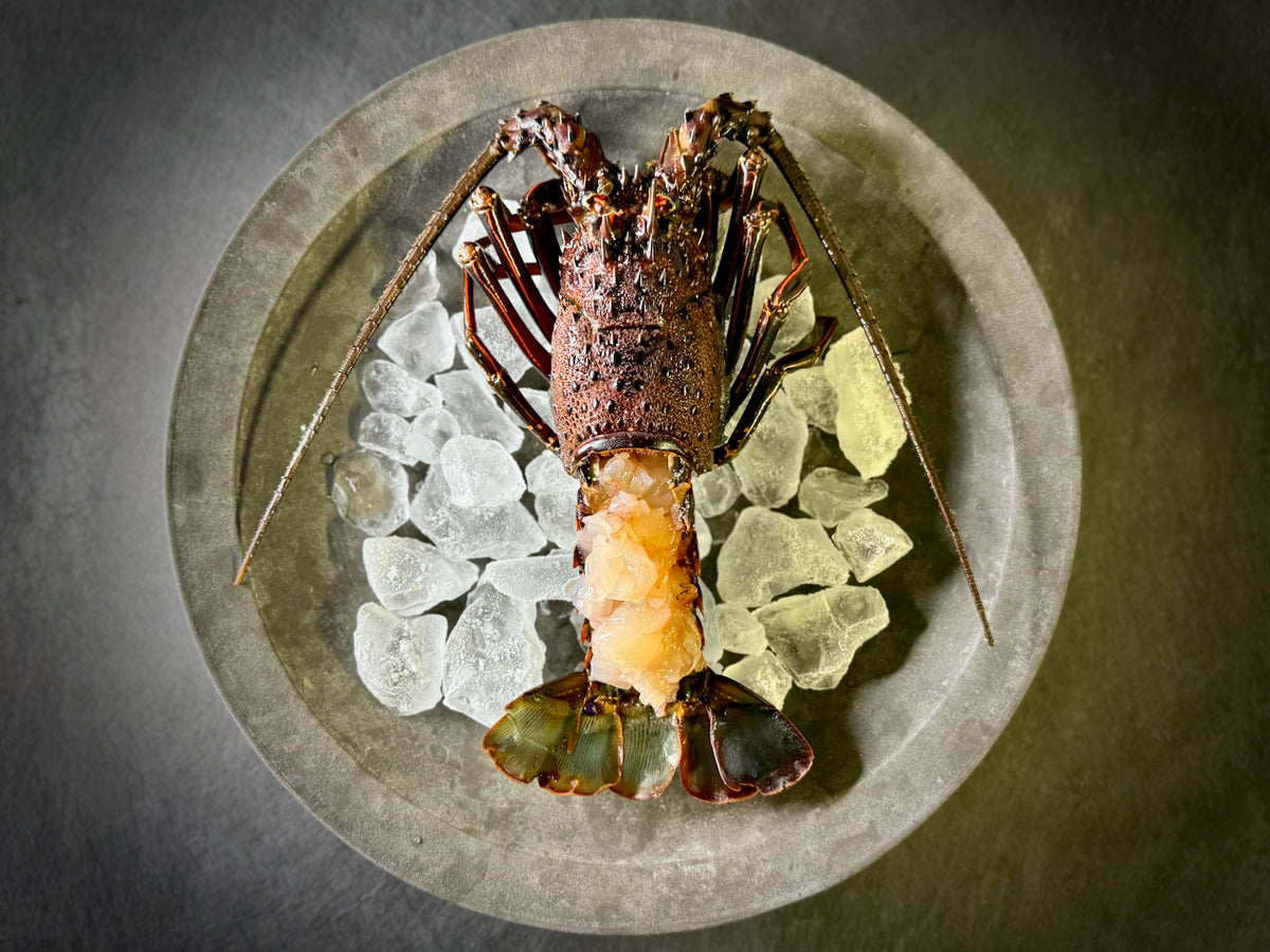 そのまま食べられる『天然活き伊勢海老のお造り』名だたる名産地の伊勢