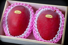 画像をギャラリービューアに読み込む, 目利きのプロから選ばれる「沖縄県産・アップルマンゴー」大玉500g超の厳選品を特別な桐箱で直送【数量限定】