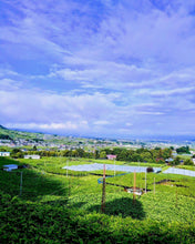 画像をギャラリービューアに読み込む, ハート形の赤いシャイン『マイハート』味も見た目も最高の希少なブドウ【入手困難】