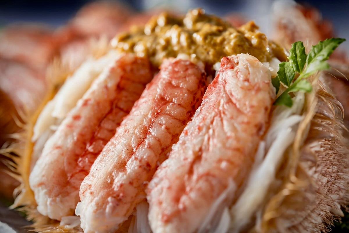 S__20275213_0_1200x1200.jpg?v=