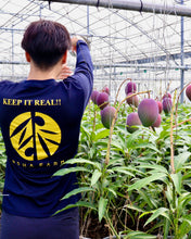 画像をギャラリービューアに読み込む, 目利きのプロから選ばれる「沖縄県産・アップルマンゴー」大玉500g超の厳選品を特別な桐箱で直送【数量限定】