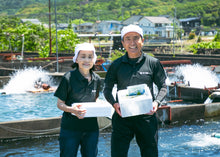 画像をギャラリービューアに読み込む, <10/16お届け迄>希少な子持ちも選べる「紀伊和歌山・鮎」天然を超える味わいを厳選産直【期間限定】