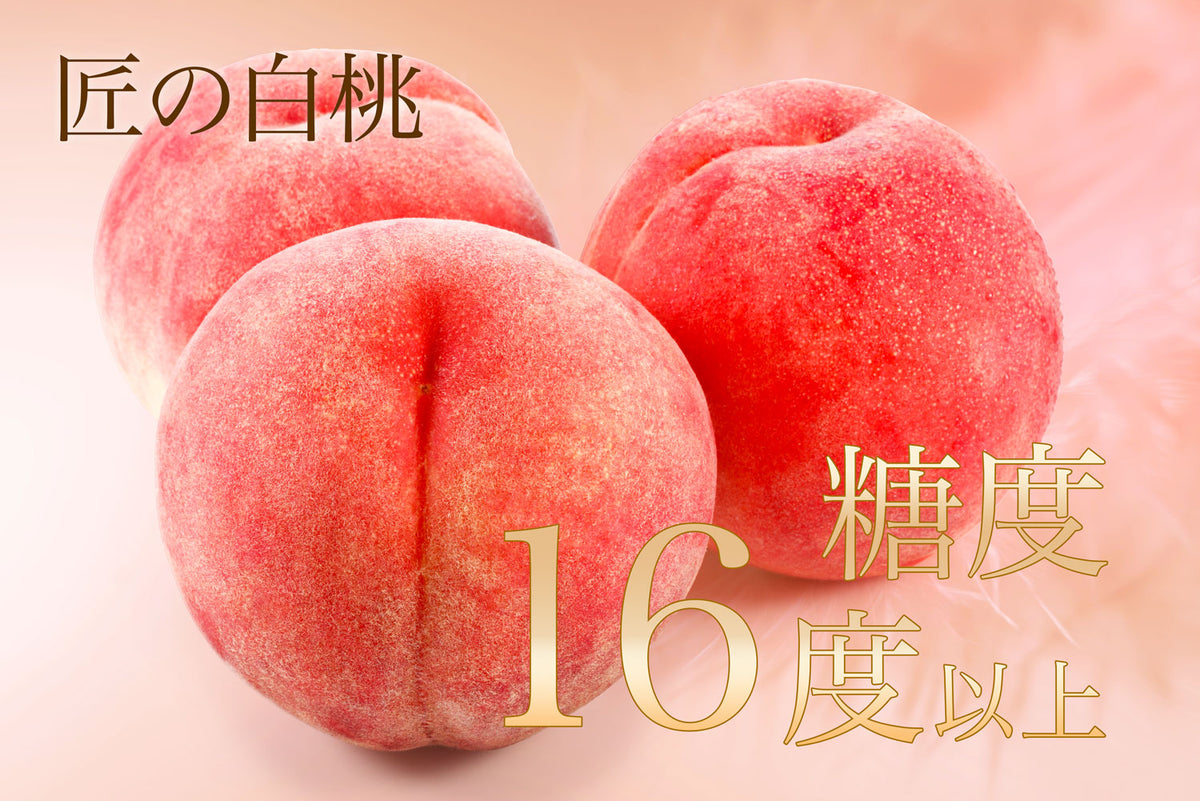 最高級白桃1箱5玉入り 桃 白桃 もも 果物 糖度 特秀 大玉 贈答用 御中元 高級白桃1箱5玉入り 桃 白桃 もも 果物 糖度 特秀 大玉 贈答用