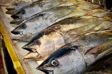 画像をギャラリービューアに読み込む, 選び抜かれた逸品『三陸塩竈ひがしもの』マグロを知り尽くすプロ達が目利きしたブランド生メバチマグロ【秋冬限定】