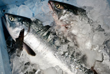 画像をギャラリービューアに読み込む, いくらの最高等級「3特」相当『北海道産・生筋子』シャケ王国・知床ブランドの秋鮭から採れる最高級品【たっぷり1kg】