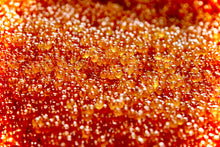 画像をギャラリービューアに読み込む, いくらの最高等級「3特」相当『北海道産・生筋子』シャケ王国・知床ブランドの秋鮭から採れる最高級品【たっぷり1kg】