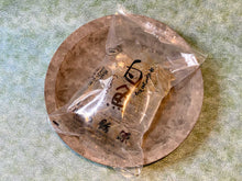 画像をギャラリービューアに読み込む, 活きたまま届ける「シロウオ」伝統文化を残すため自宅でシロウオの踊り食い