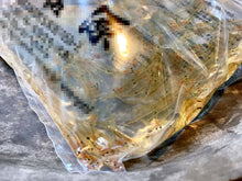 画像をギャラリービューアに読み込む, 活きたまま届ける「シロウオ」伝統文化を残すため自宅でシロウオの踊り食い