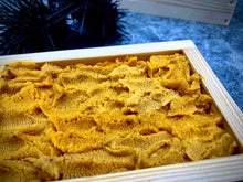 画像をギャラリービューアに読み込む, 由良「黒ウニ(ムラサキウニ)」日本一と評される完全無添加ウニ(ミョウバン不使用)