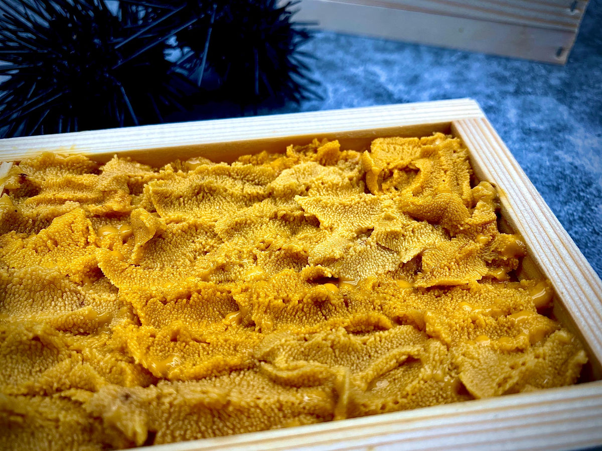 02_8f69623e-44d8-4174-856e-