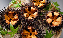 画像をギャラリービューアに読み込む, 北海道松前産・生ウニ(ミョウバン不使用)300g/超レア!ミョウバン不使用の折ウニ