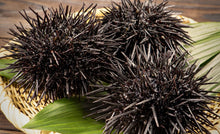 画像をギャラリービューアに読み込む, 北海道松前産・生ウニ(ミョウバン不使用)300g/超レア!ミョウバン不使用の折ウニ