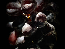 画像をギャラリービューアに読み込む, ブラックシャインマスカット『富士の輝』超希少品種!高い糖度と超大粒の果肉を持つ入手困難なブドウ