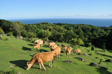 画像をギャラリービューアに読み込む, 幻の和牛「土佐あかうし」サーロイン “赤身和牛の最高峰” 250g