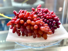 画像をギャラリービューアに読み込む, 世界一甘いブドウ『クイーンセブン』糖度25%以上・入手可能なブドウの中で最も甘い希少品種
