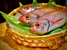 画像をギャラリービューアに読み込む, 至高の「熟成のどぐろ・炙り 極」〜最高の刺身〜のために仕立てられた逸品