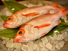 画像をギャラリービューアに読み込む, 至高の「熟成のどぐろ・炙り 極」〜最高の刺身〜のために仕立てられた逸品