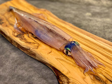 画像をギャラリービューアに読み込む, 活きたまま届く『伝説のイカ』漁師が一匹ずつ釣り上げた活ヤリイカ/ケンサキイカを日本海より直送