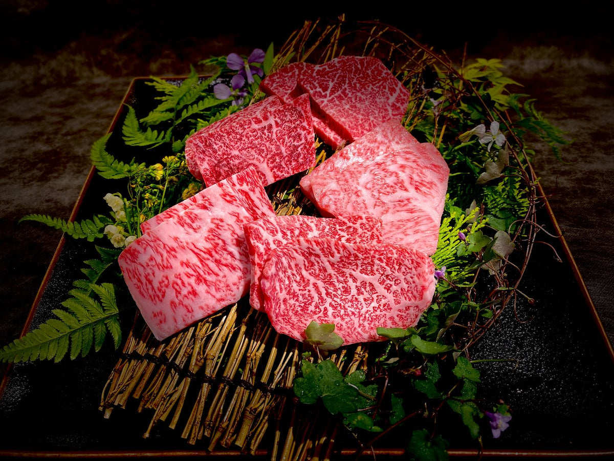 至高の焼肉「近江牛・飛騨牛 食べ比べセット」極上の霜降り＆赤身【ﾋﾚ
