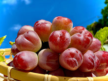 画像をギャラリービューアに読み込む, 紅いシャインマスカット『バイオレットキング』500円玉を超える大粒・高糖度の希少品種