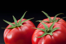 画像をギャラリービューアに読み込む, 全国トマト選手権・第4回最高金賞の味わい「光樹とまと プレミアム」糖度検査と食味で厳選された特級品