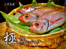 画像をギャラリービューアに読み込む, 至高の「熟成のどぐろ・炙り 極」〜最高の刺身〜のために仕立てられた逸品