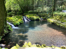 画像をギャラリービューアに読み込む, 至高の虹鱒「紅富士」フィレ&いくら親子セット・サーモンを超える繊細な美味