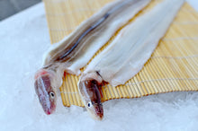 画像をギャラリービューアに読み込む, 秘境 対馬の刺身で食べる「黄金あなご」・食通の視線を集める最高のアナゴ