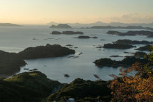 画像をギャラリービューアに読み込む, <12/22締め切り>極上天然クエ『刺身用ブロック』1本釣り・活け〆・神経抜きで最高の逸品【年末お届け】