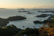 画像をギャラリービューアに読み込む, <12/22締め切り>40kg極上天然クエの『クエ鍋切り身』『クエ鍋用アラ』1本釣り・活け〆・神経抜きで最高の逸品【年末お届け】