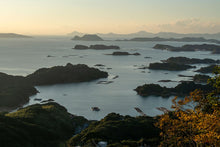 画像をギャラリービューアに読み込む, <12/22締め切り>天然活き伊勢海老【年末お届け】生きたまま届く 一尾1kgの特大サイズ