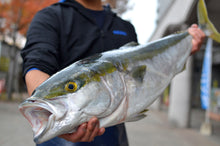 画像をギャラリービューアに読み込む, <12/22締め切り>天然寒ブリ ブロック400g【年末お届け】・全国の料理人も注目する対馬高浜の一本釣り寒ブリ