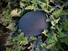 画像をギャラリービューアに読み込む, 超大玉 & 高糖度! 黒玉スイカ『北海道・深味スイカ』有機JAS認定の超大玉スイカを産直でお届け