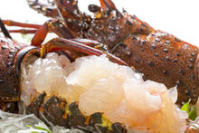 画像をギャラリービューアに読み込む, <12/22締め切り>天然活き伊勢海老【年末お届け】生きたまま届く 一尾1kgの特大サイズ