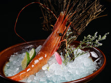 画像をギャラリービューアに読み込む, 跳ねる「活ボタンエビ(トヤマエビ)」北海道より海水とエアポンプで活きたまま発送(25〜30尾)