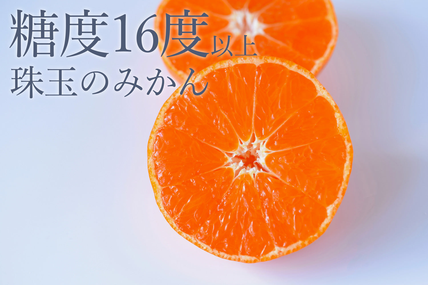 糖度16度以上！『超萬点みかん』くだものの匠が糖度と酸度を計測し黄金比に入ったみかんを厳選した珠玉のみかん