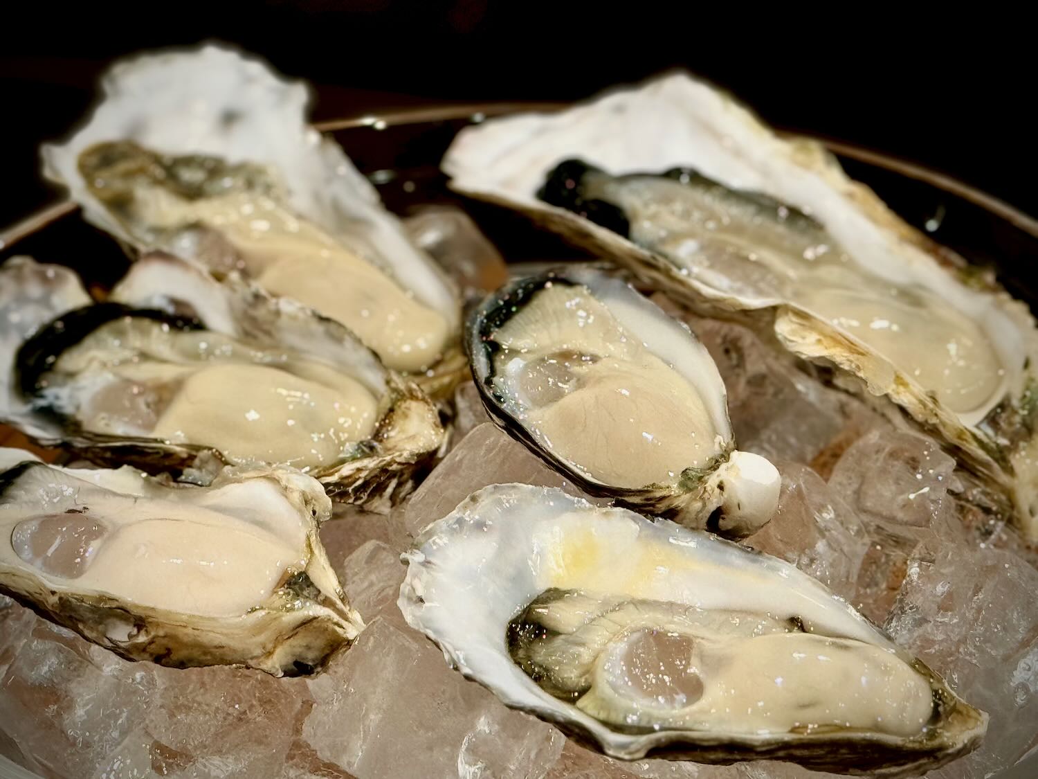 ブランド牡蠣6種食べ比べ！『全国牡蠣-1グランプリ』を席巻した室津