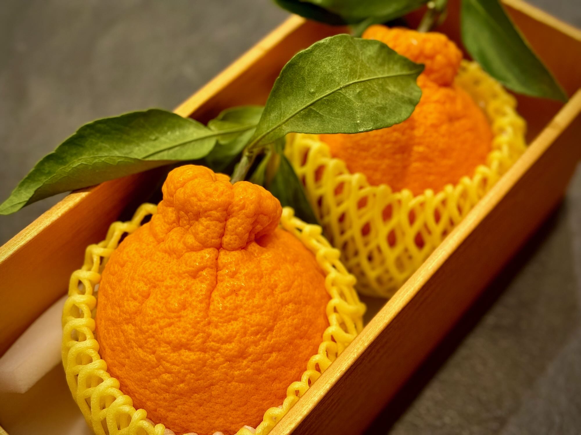 糖度19度以上】奇跡の『不知火』樹上完熟で生まれた高い糖度と優しい