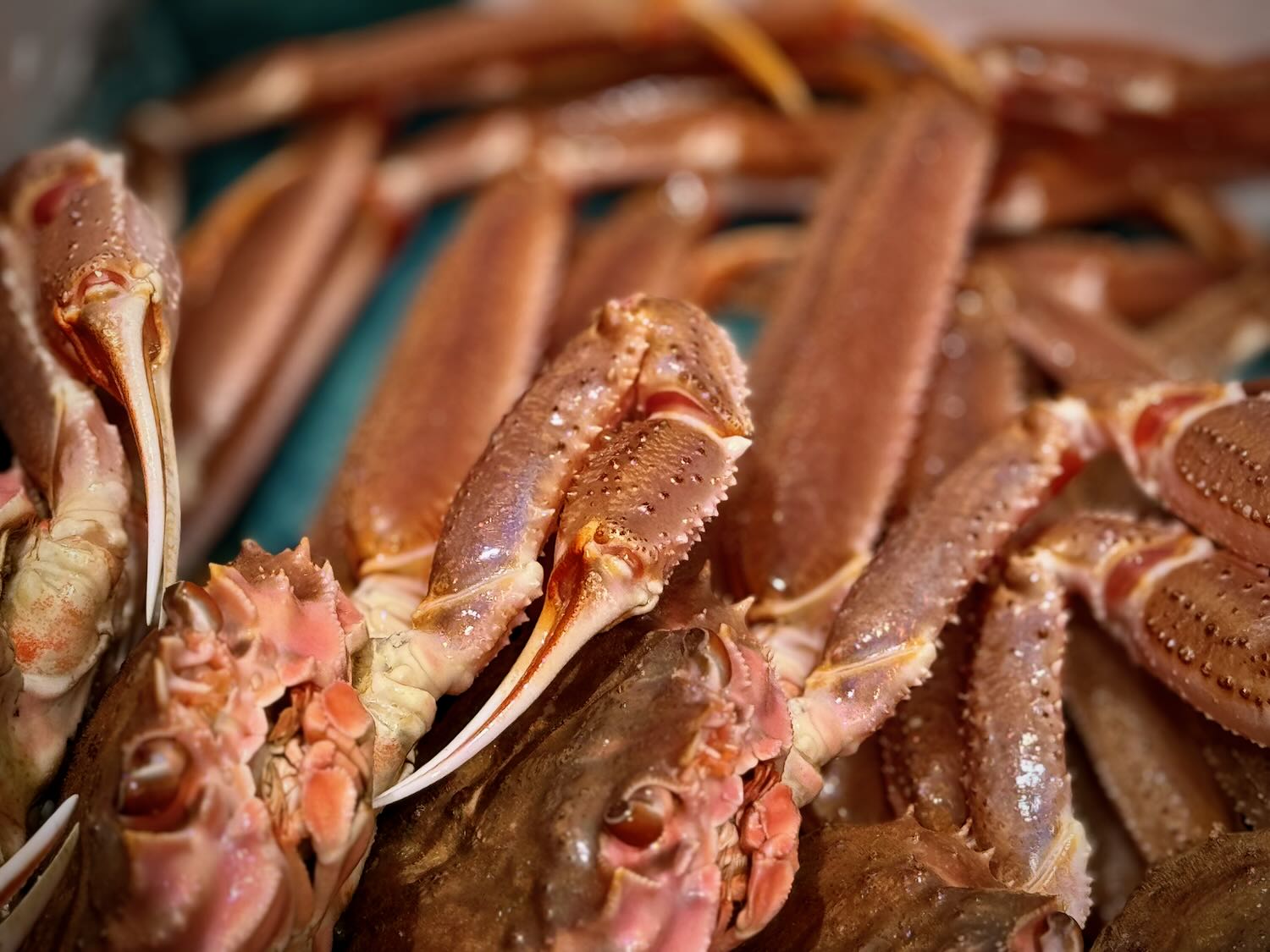 IMG_0636_1500x.jpg?v=1733477861