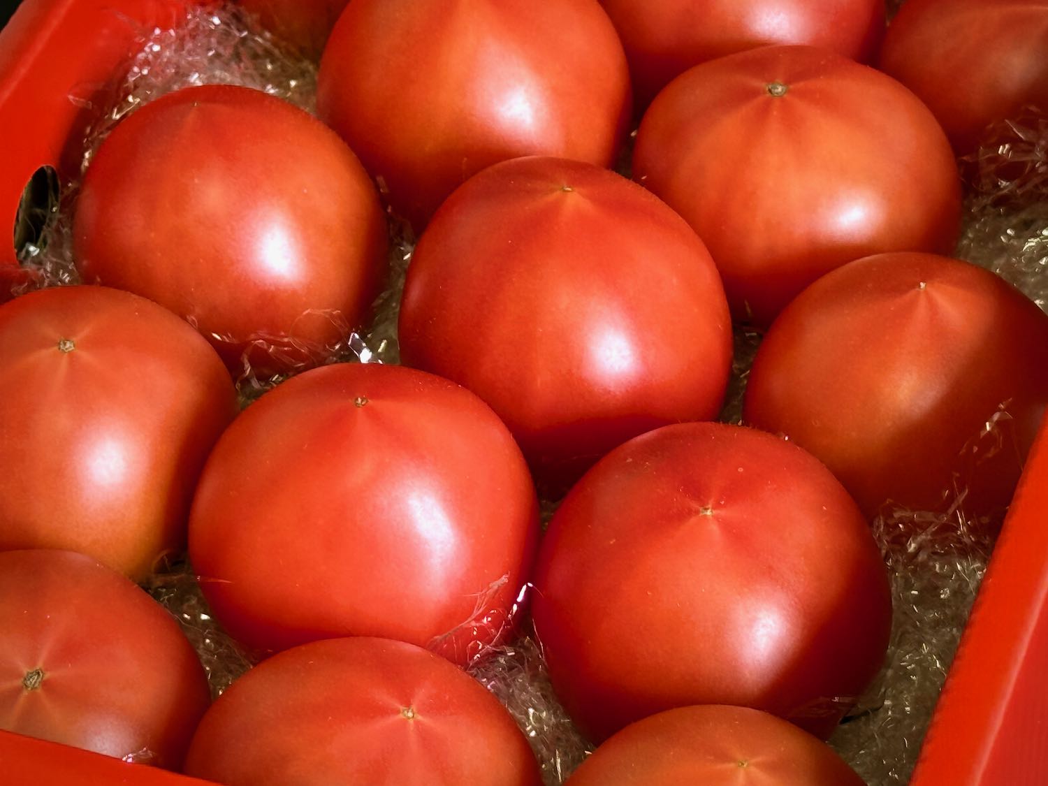 とまと 始まりにして最高峰『徳谷トマトNo.52』 トマトの概念が変わるフルーツ