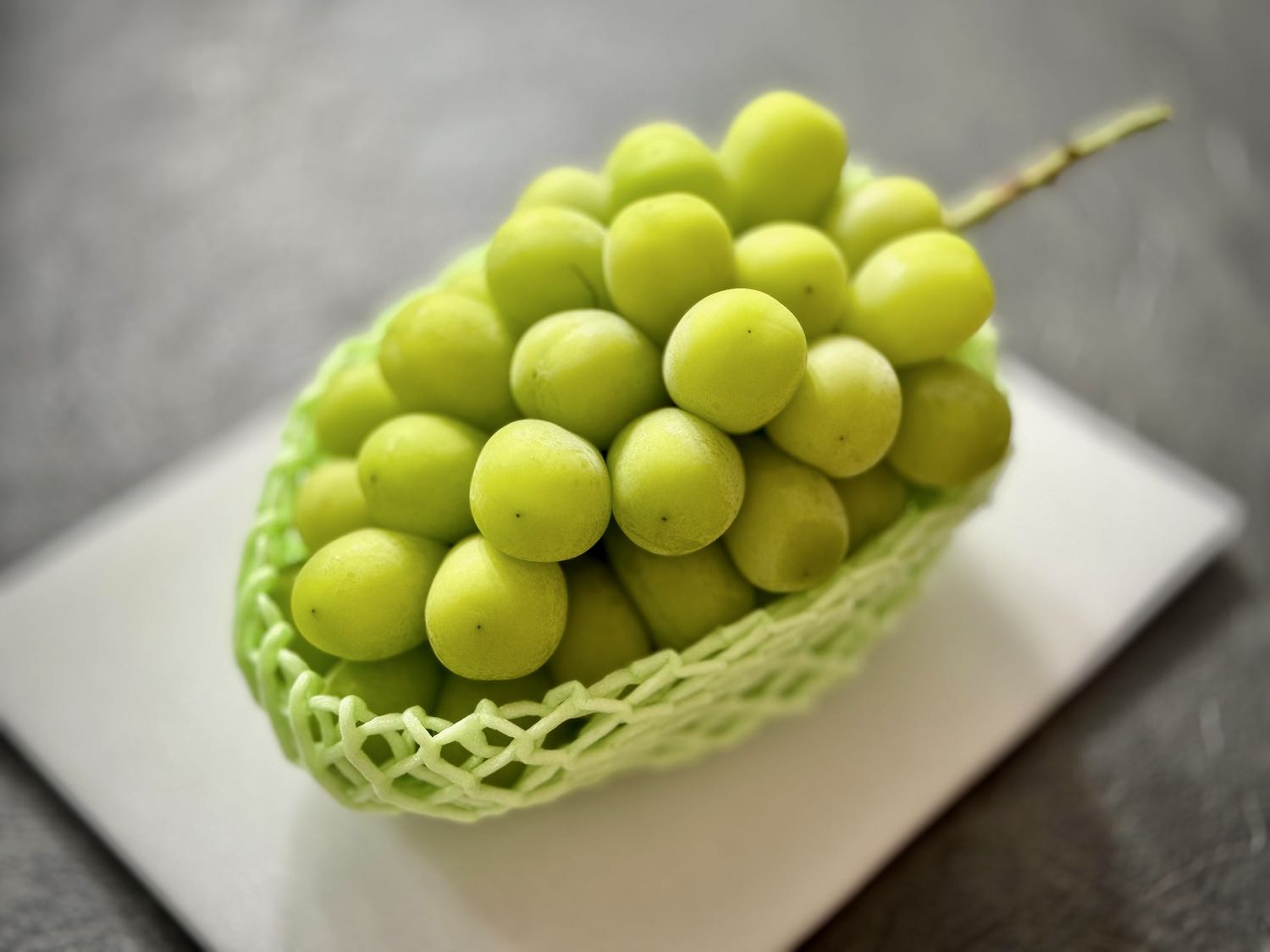 Qoo（ケキュア多種あります）ページ すべての商品 – KUUCA