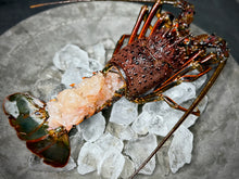 画像をギャラリービューアに読み込む, そのまま食べられる『天然活き伊勢海老のお造り』名だたる名産地の伊勢海老を姿造りに仕立てた特別な逸品
